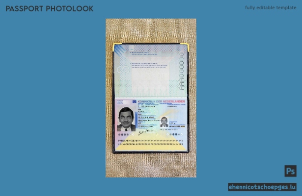 Niederländischer Reisepass (2014–heute): Beispielansicht des Passfotos
